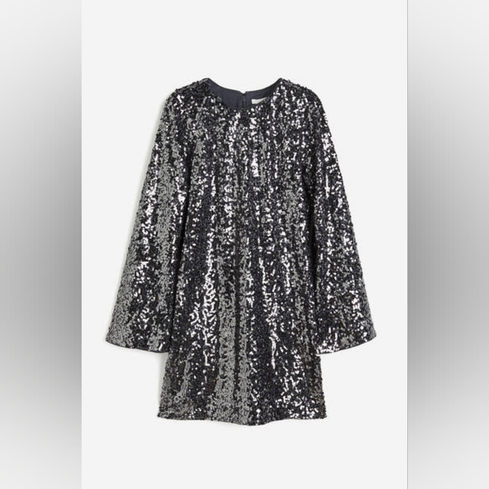 H&M Grey Long Sleeve Sequin Dress